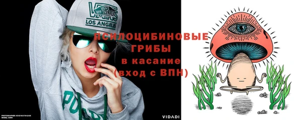 МДПВ Алзамай