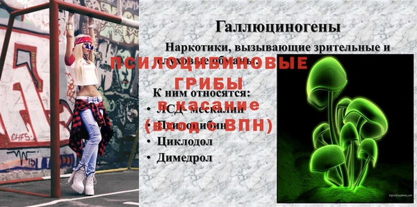 спиды Осинники